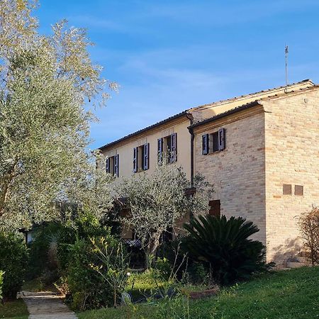 Hotel Le Residenze Degli Ulivi Campofilone Zewnętrze zdjęcie